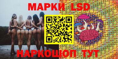 стафф Кандалакша