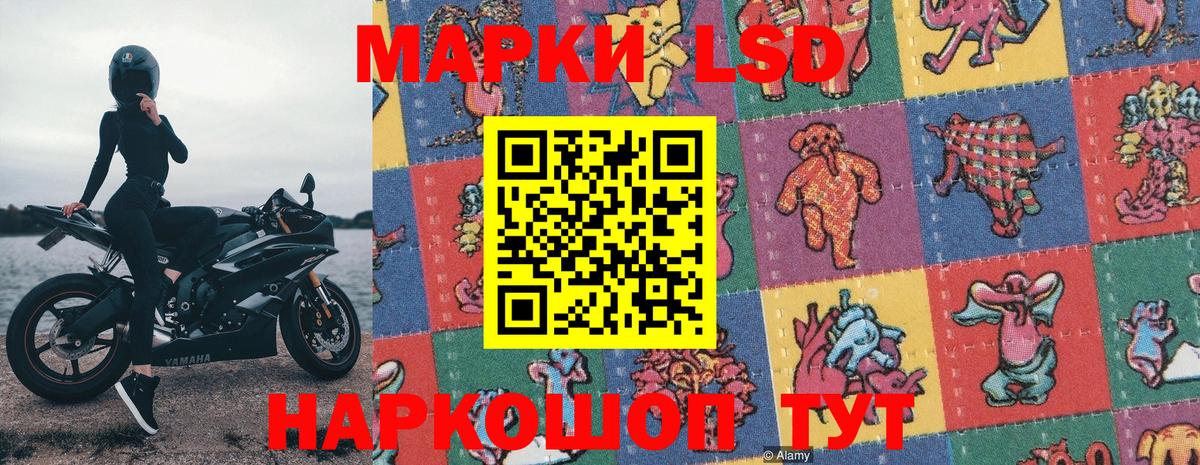 Марки N-bome 1,5мг  Вход с VPN  Лесной  Марки N-bome 1,5мг 