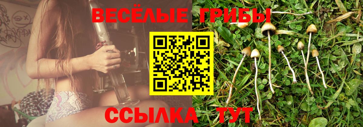 Лесной  Псилоцибиновые грибы Cubensis  Вход с VPN 
