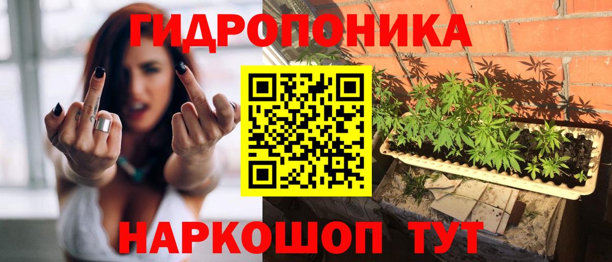 Лесной  Конопля ГИДРОПОН  Вход с VPN  Шишки марихуана индика  Бошки Шишки Ganja 